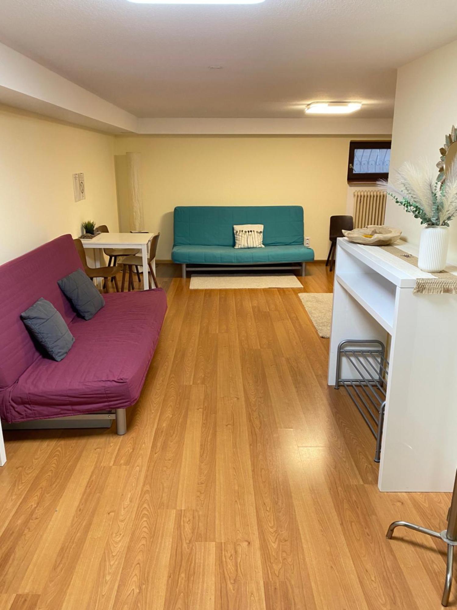 Homestay Ruhiges Privates In Freiburg, Zentrumsnah, Naehe Europapark *